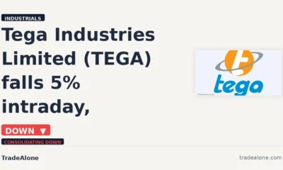 Tega Industries Limited TEGA breakdown