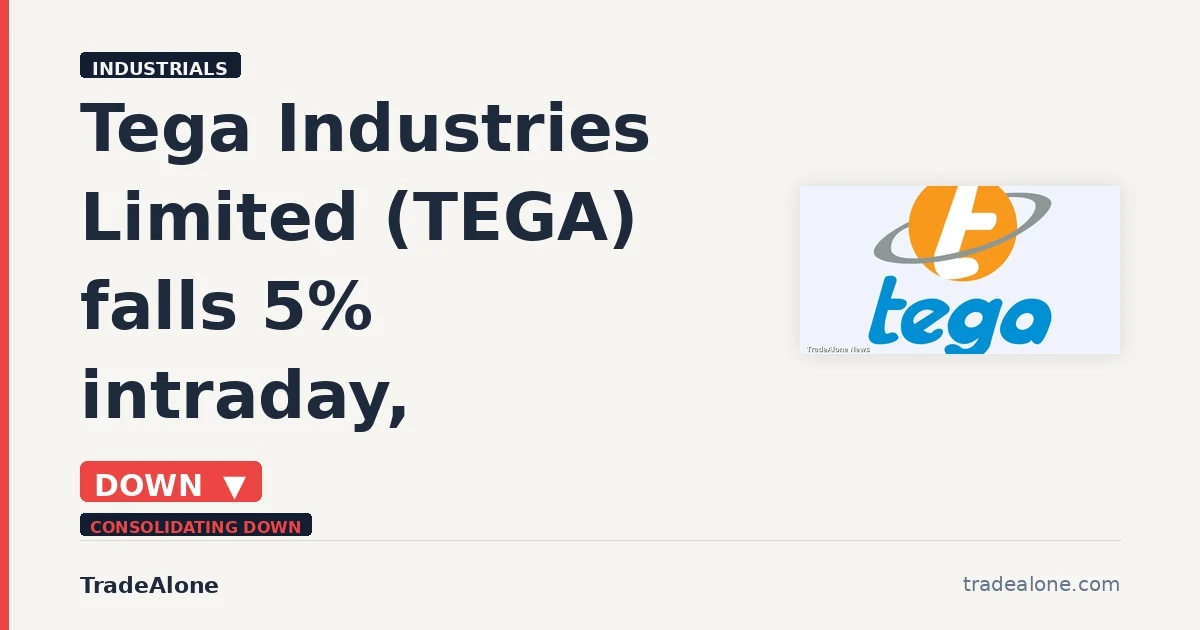 Tega Industries Limited TEGA breakdown
