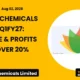 Vishnu Chemicals Limited Q1fy27 Earnings