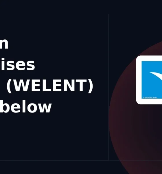Welspun Enterprises Limited WELENT breaks below support