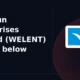 Welspun Enterprises Limited WELENT breaks below support