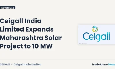 Ceigall India Limited Ceigall Solar Expansion