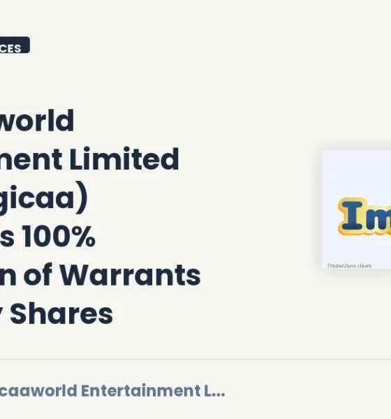 Imagicaaworld Entertainment Limited Imagicaa Q3 2026 Warrant Conversion
