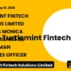 Turtlemint Fintech Solutions Limited Turtlemint CHRO Appointment