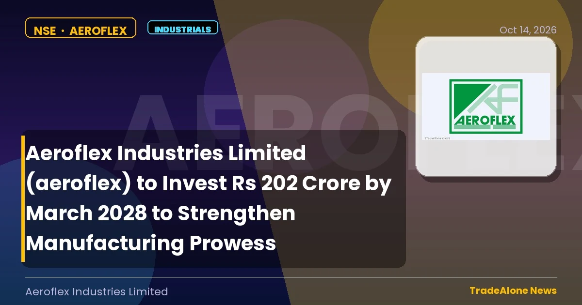 Aeroflex Industries Limited Aeroflex March 2028 Investment