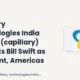 Capillary Technologies India Limited Capillary October 2026 Leadership