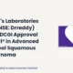 Dr. Reddy's Laboratories Limited NSE Drreddy October 2026 Approval