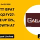 Gallantt Ispat Limited Gallantt Q2 FY27 Results