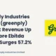 Greenply Industries Limited Greenply Q2 FY27 Results