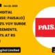 Paisalo Digital Limited Q2fy27 Results