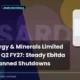 Sarda Energy & Minerals Limited Sardaen Q2 FY27 Ebitda
