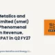Shyam Metalics and Energy Limited Q2 FY27 Results