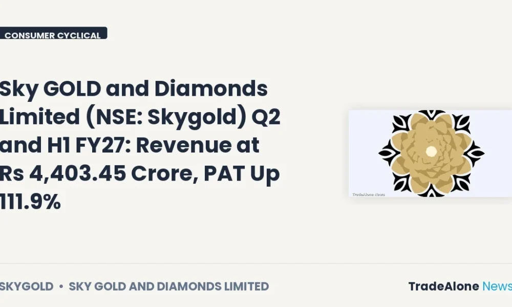 Sky GOLD and Diamonds Limited NSE Skygold Q2 FY27 Results