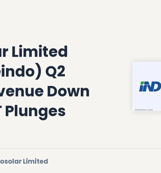 Indosolar Limited Waareeindo Q2 FY27 Results